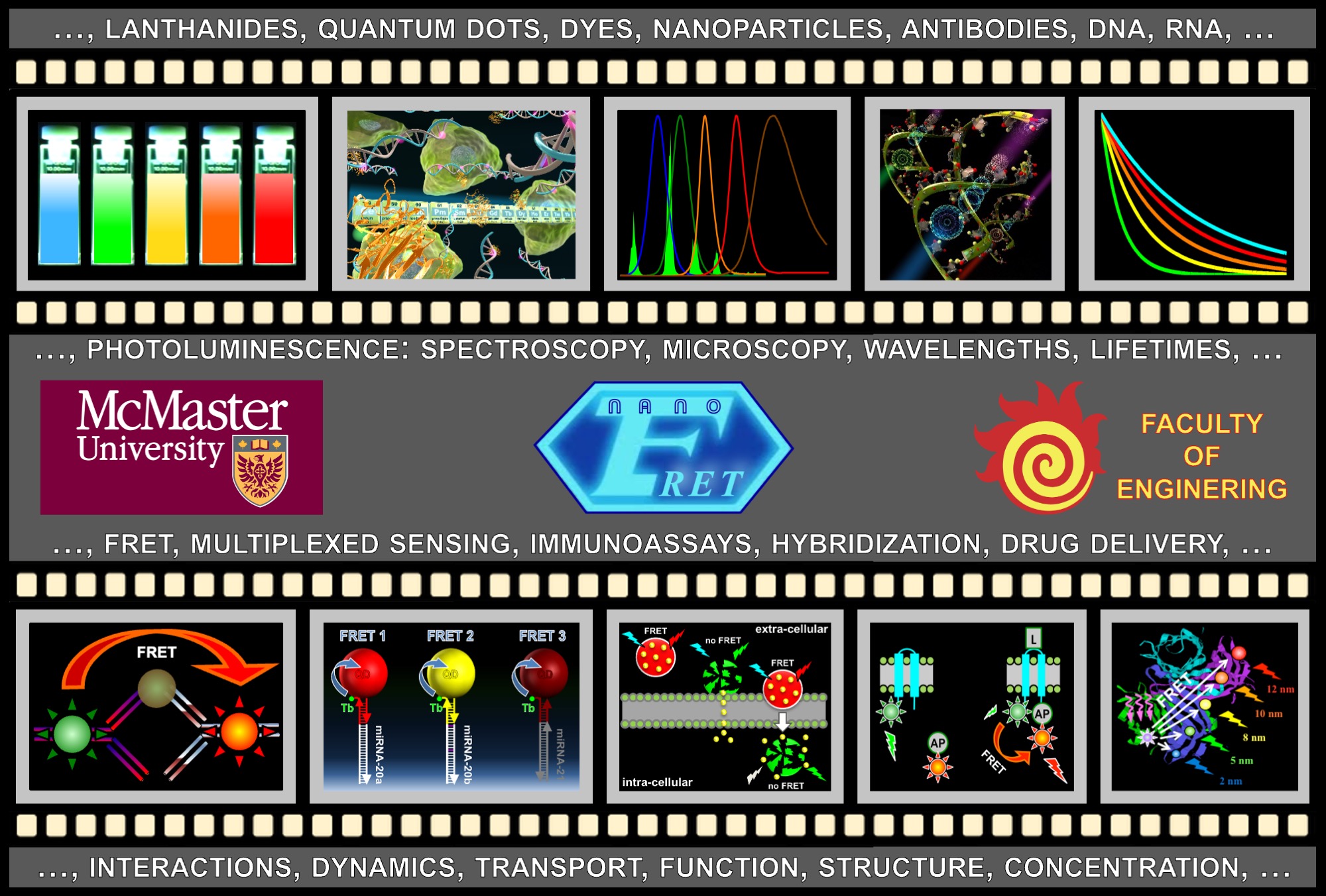 Niko Hildebrandt Lab